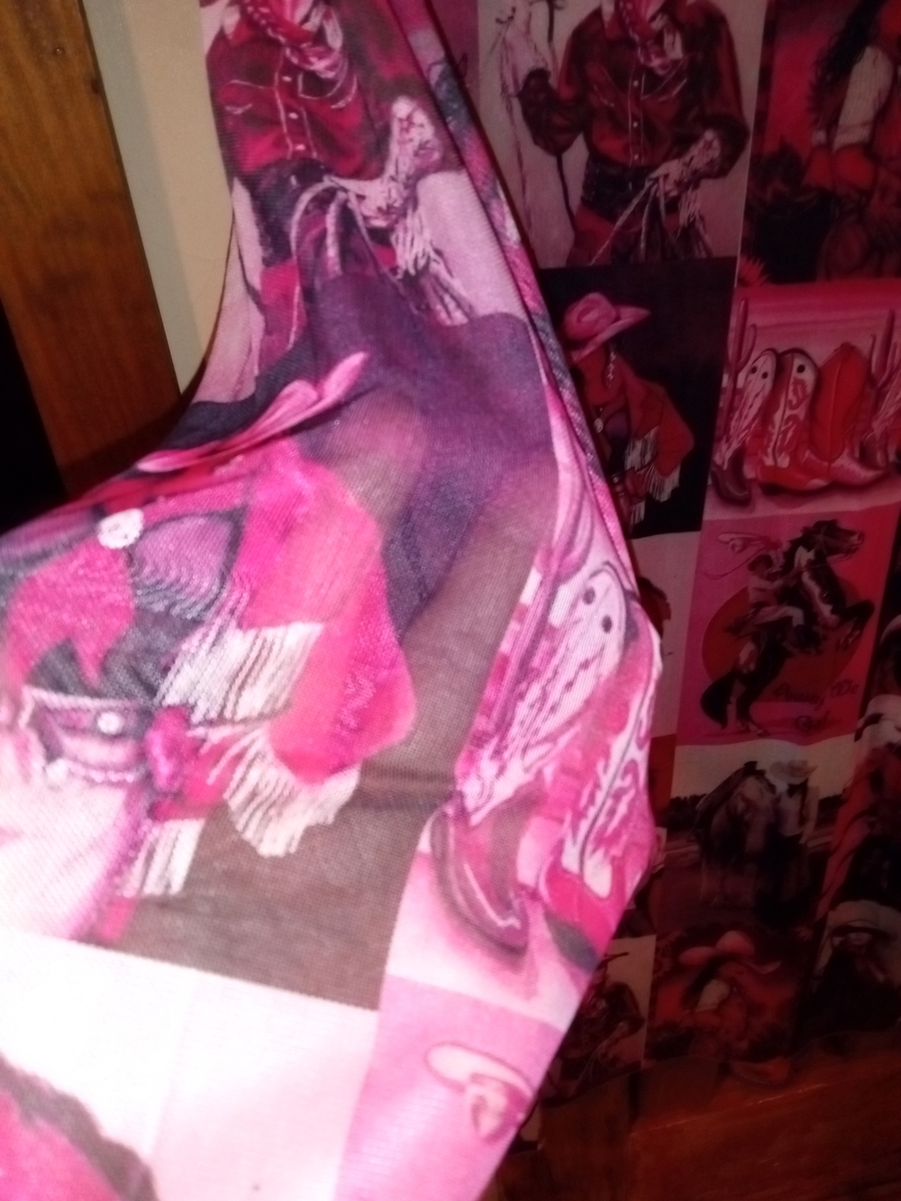 Southern Grace Pink Multi-Panel Cowgirl Print Dress - Picture 4 of 7